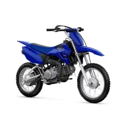 Yamaha TTR-110