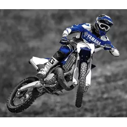 Yamaha YZ-250 (2025)