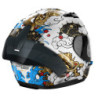 Casco Nolan N60-6 Sport Wyvern 025 Multicoulor