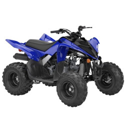 Yamaha Raptor YFM-110R