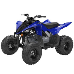 Yamaha Raptor YFM-110R