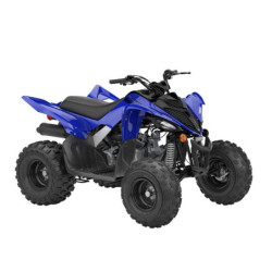 Yamaha Raptor YFM-110R