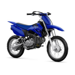 Yamaha TTR-110