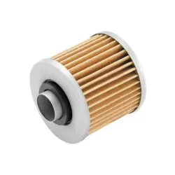 Filtro de aceite Bikemaster para Kawasaki KX250F/RMZ250 (2004-12)