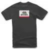 Polera Alpinestars Cali 2.0